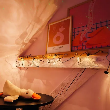 Daire Pintrst-penthouse 110m2 Ping Pong Old Town Belgrad