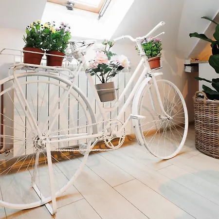 Pintrst-penthouse Old Town Renovated Апартаменты *
