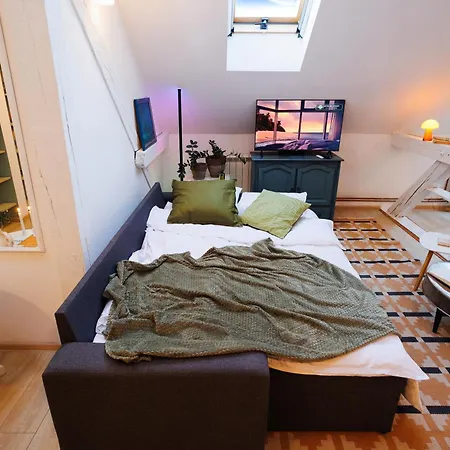 Апартаменты Pintrst-penthouse Old Town Renovated Белград